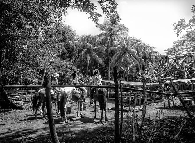 Riders and horses in our tropical riding grounds