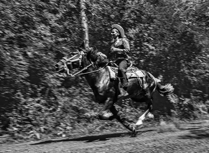 A horseback rider exploring a wooded trail